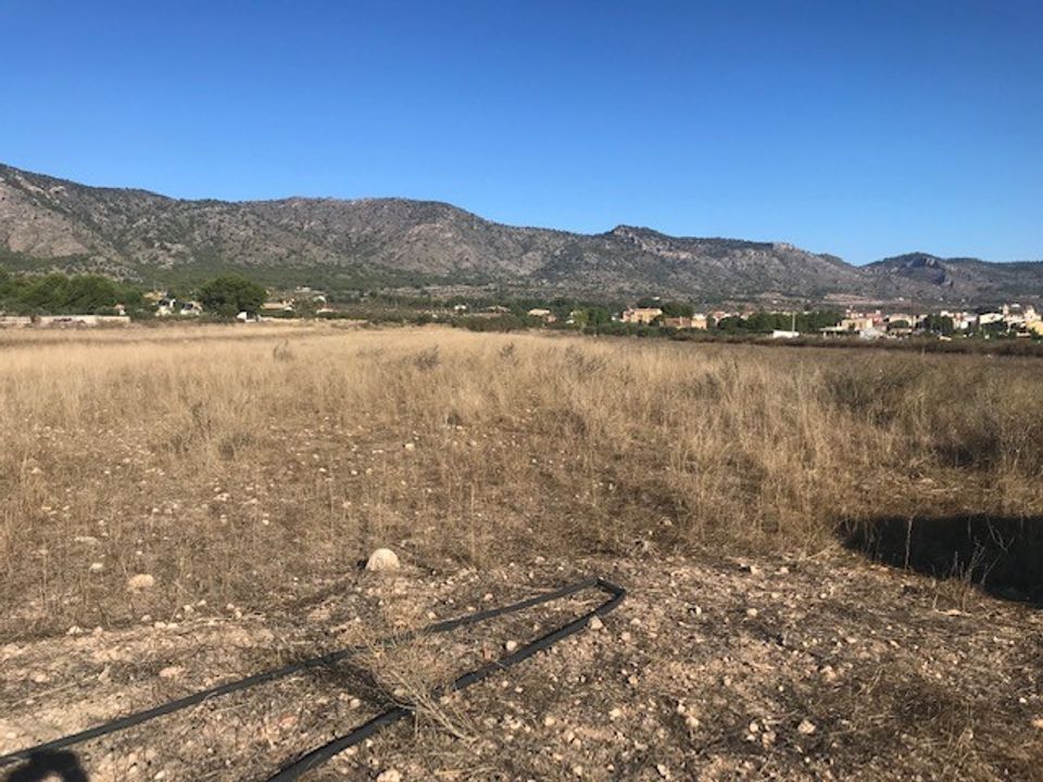Helårsgrund i Salinas, Alicante - foto 3