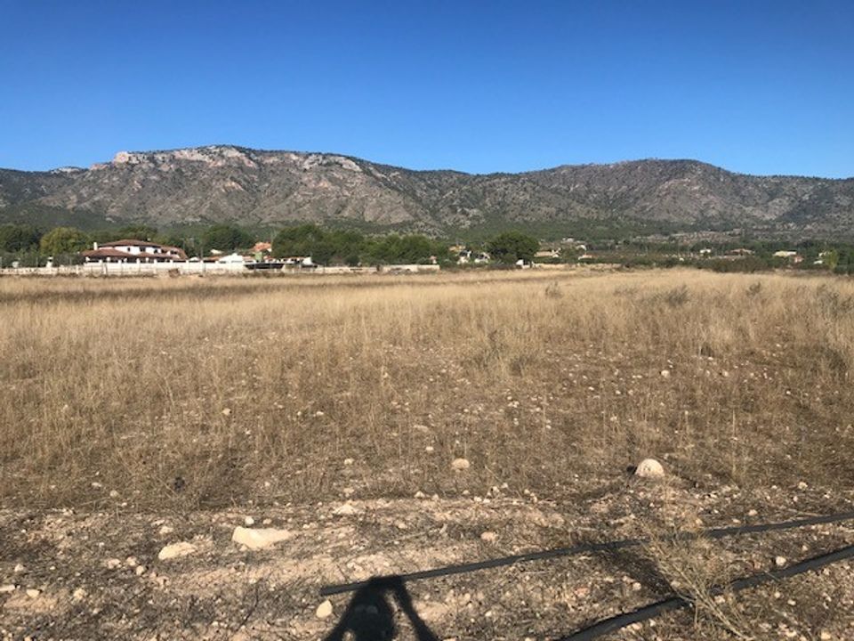 Helårsgrund i Salinas, Alicante - foto 5