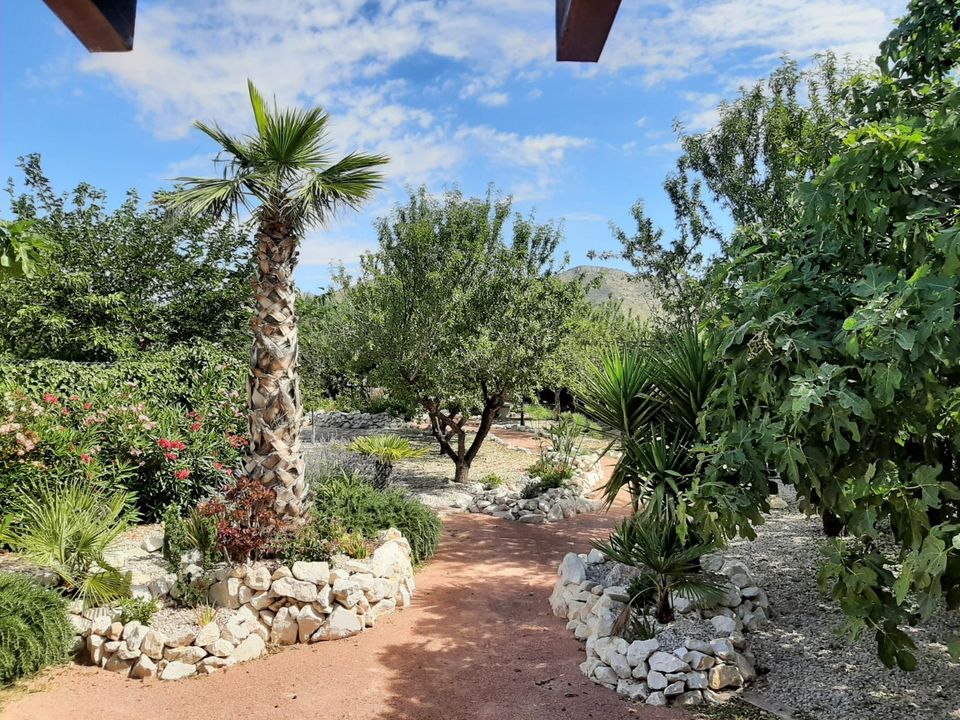Villa i Barbarroja, Alicante - foto 4