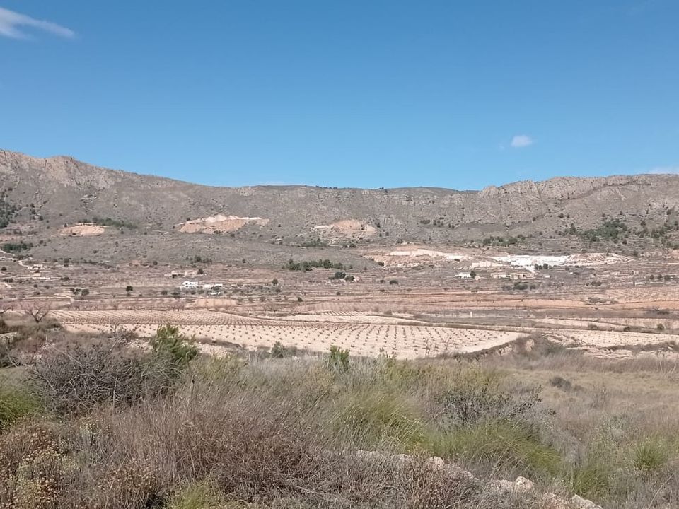 Helårsgrund i La Romana, Alicante - foto 1