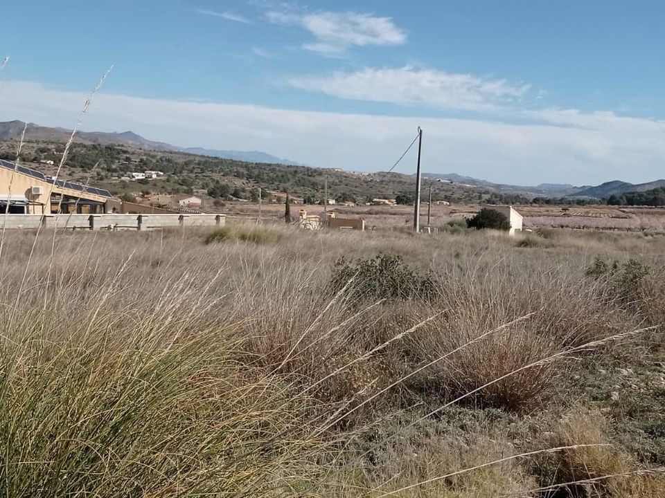Helårsgrund i La Romana, Alicante - foto 3