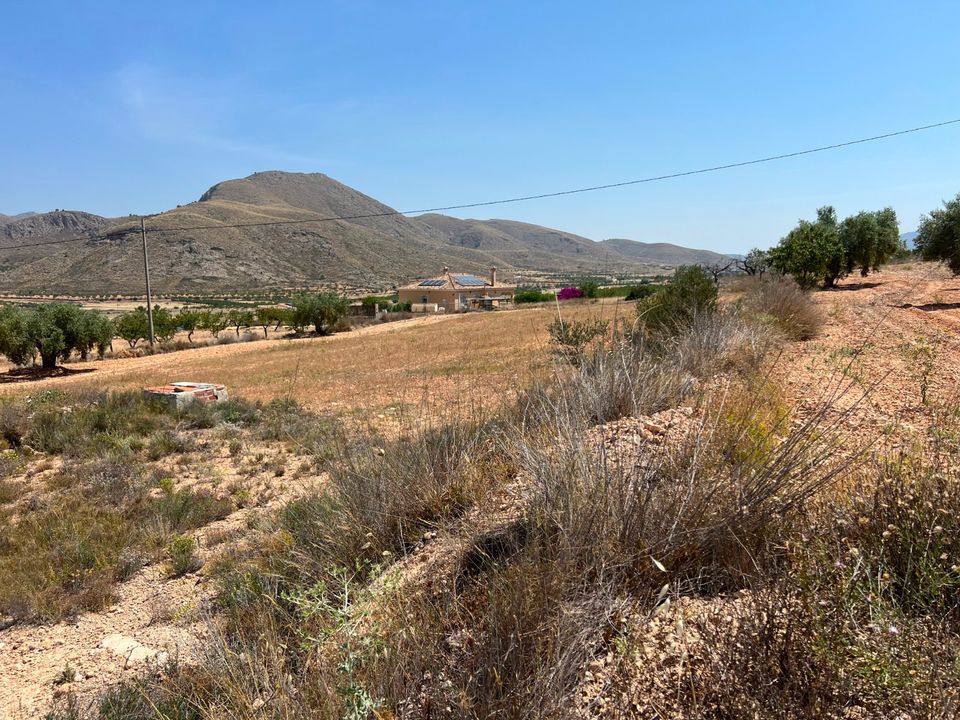 Tomt i Barbarroja, Alicante - bilde 1