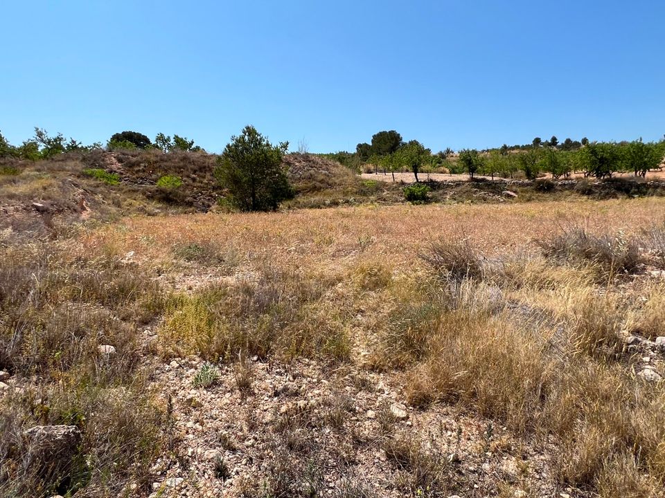 Tomt i Barbarroja, Alicante - bilde 3
