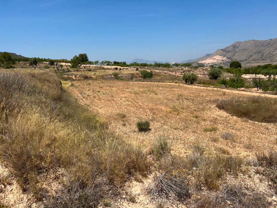 Tomt i Barbarroja, Alicante - bilde 4