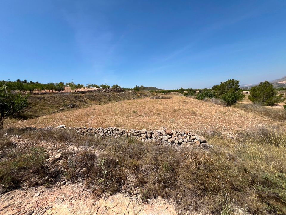 Tomt i Barbarroja, Alicante - bilde 5