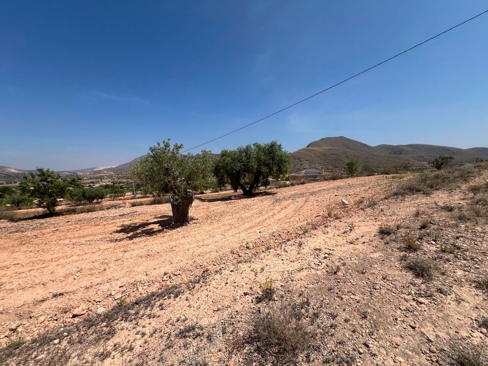 Helårsgrund i Barbarroja, Alicante - foto 2