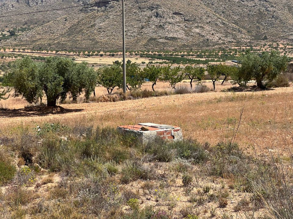 Helårsgrund i Barbarroja, Alicante - foto 3