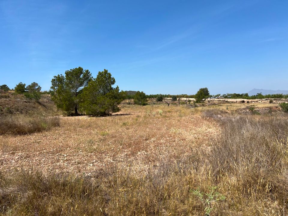 Helårsgrund i Barbarroja, Alicante - foto 4