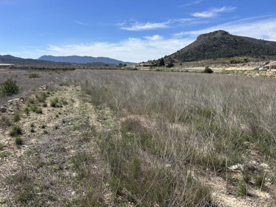 Helårsgrund i La Romana, Alicante - foto 4
