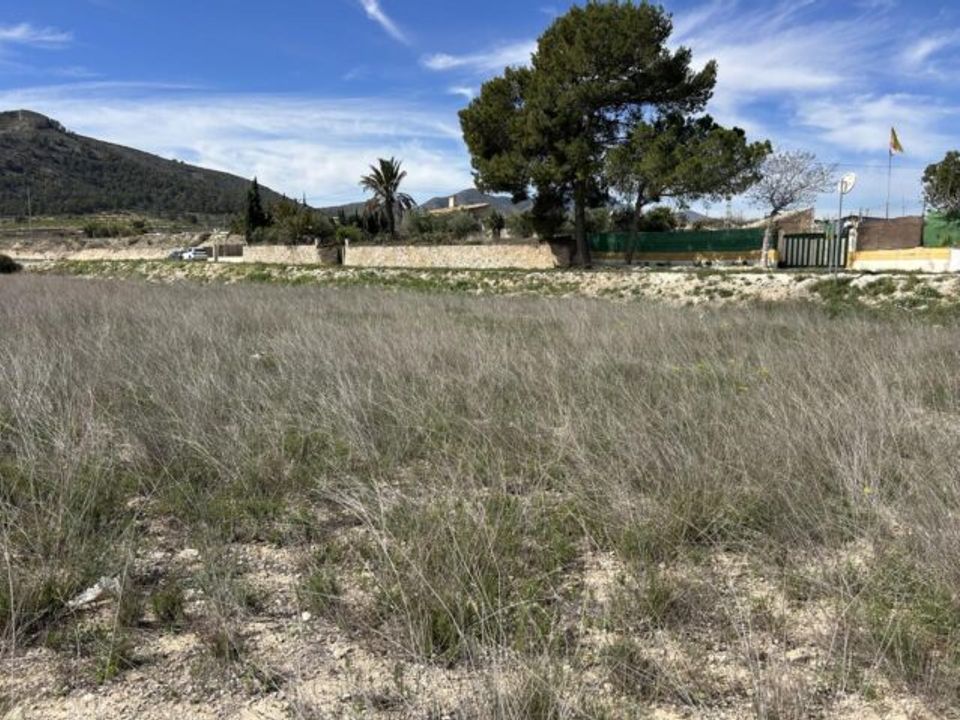 Helårsgrund i La Romana, Alicante - foto 5