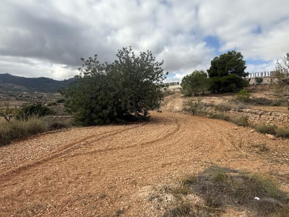 Helårsgrund i La Romana, Alicante - foto 1