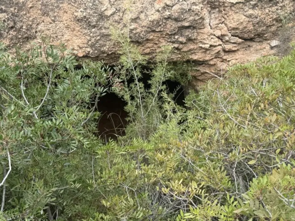 Helårsgrund i La Romana, Alicante - foto 2