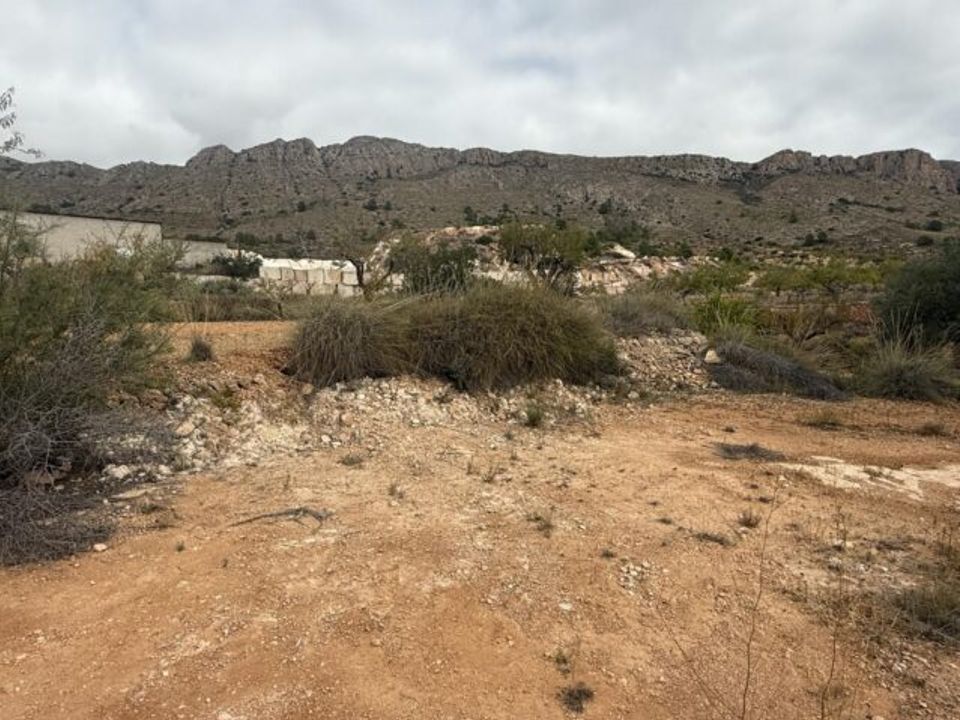 Helårsgrund i La Romana, Alicante - foto 4