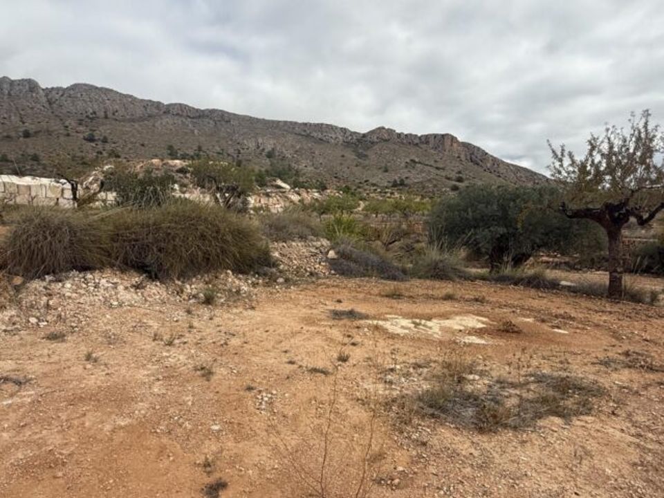 Helårsgrund i La Romana, Alicante - foto 5
