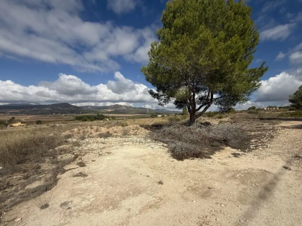 Helårsgrund i Monovar, Alicante - foto 1