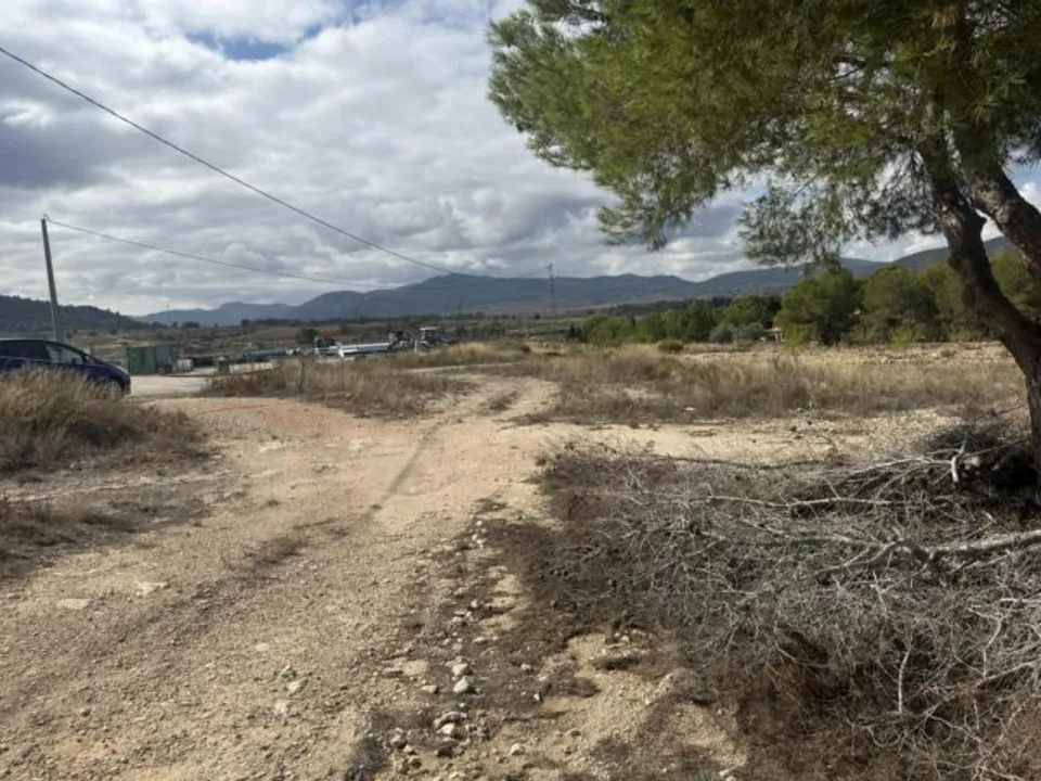 Helårsgrund i Monovar, Alicante - foto 2