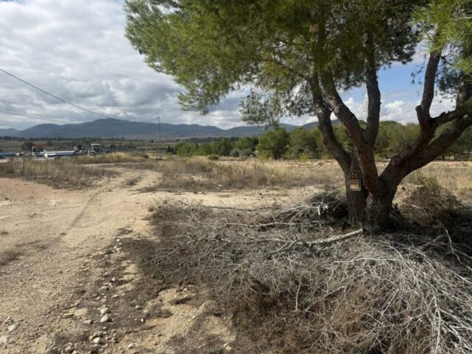 Helårsgrund i Monovar, Alicante - foto 3