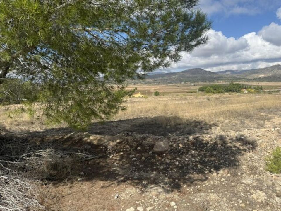 Helårsgrund i Monovar, Alicante - foto 4