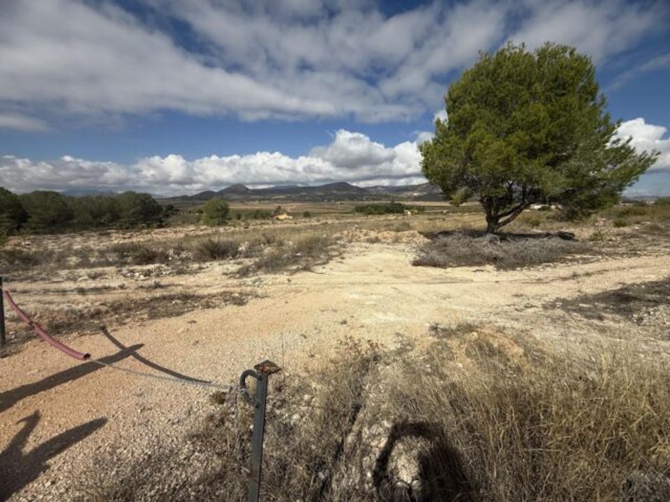 Helårsgrund i Monovar, Alicante - foto 5