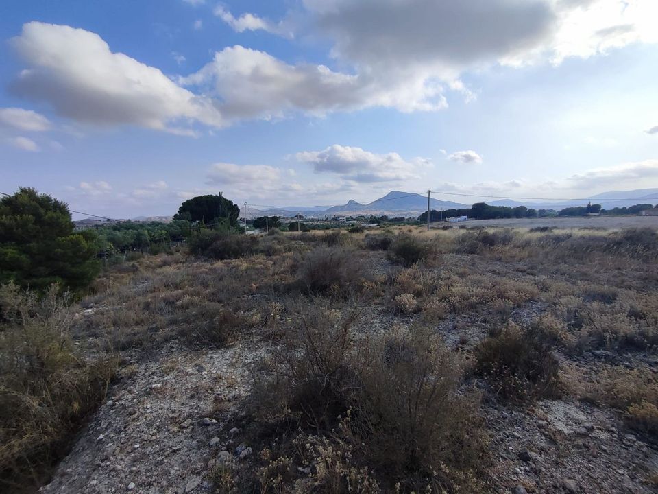 Helårsgrund i Sax, Alicante - foto 2
