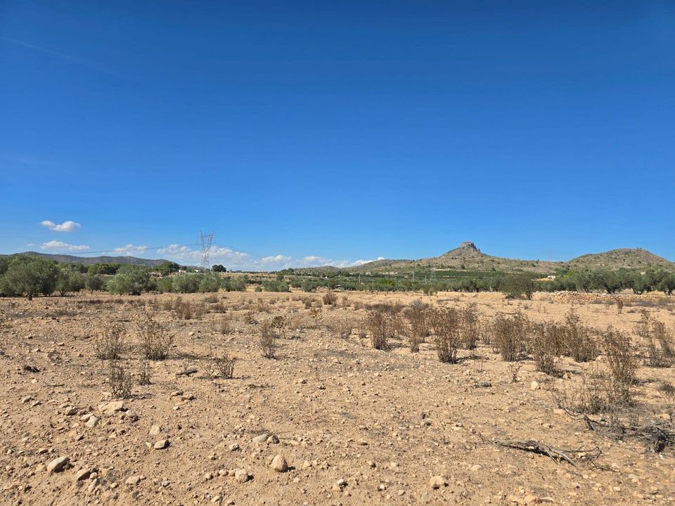 Helårsgrund i Salinas, Alicante - foto 1