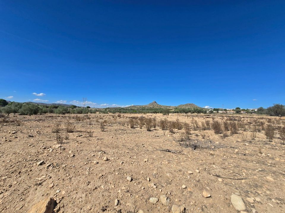 Helårsgrund i Salinas, Alicante - foto 3