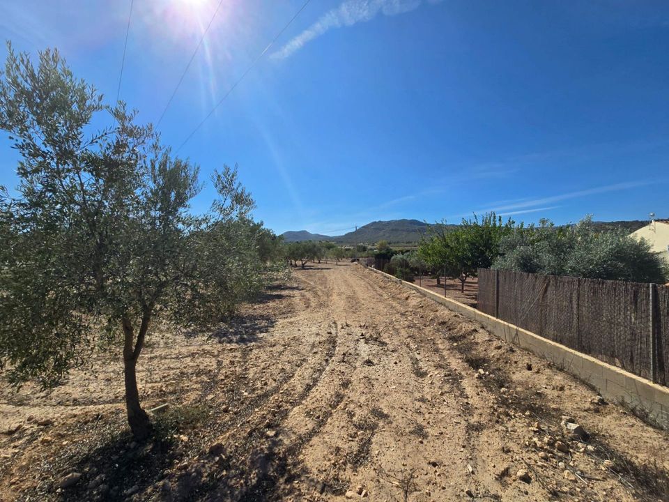 Helårsgrund i Salinas, Alicante - foto 1