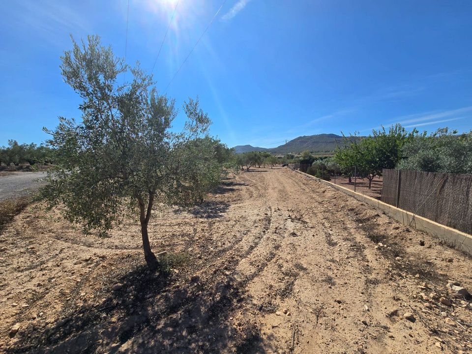Helårsgrund i Salinas, Alicante - foto 3