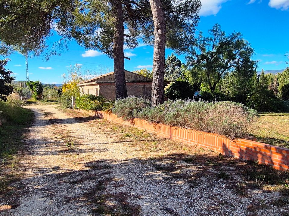 Finca i Ontinyent, Valencia - foto 3