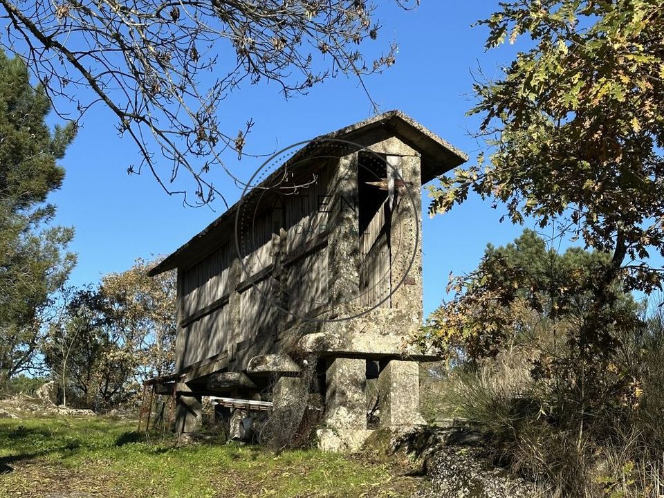 Landejendom i Vila Real, Vila Real - foto 3
