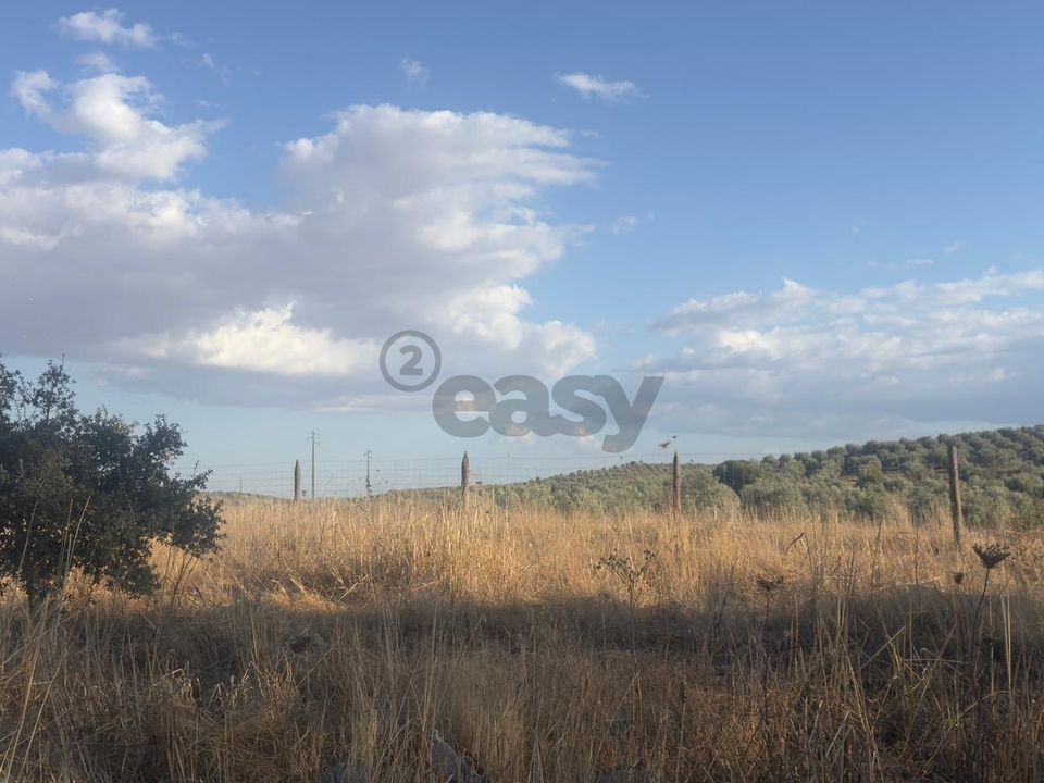 Terra a Castro Verde, Beja - foto 3