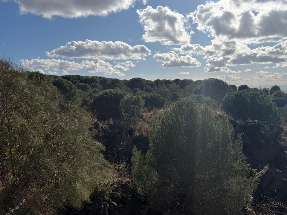 Erhvervsejendom i Nicolosi, Catania - foto 1