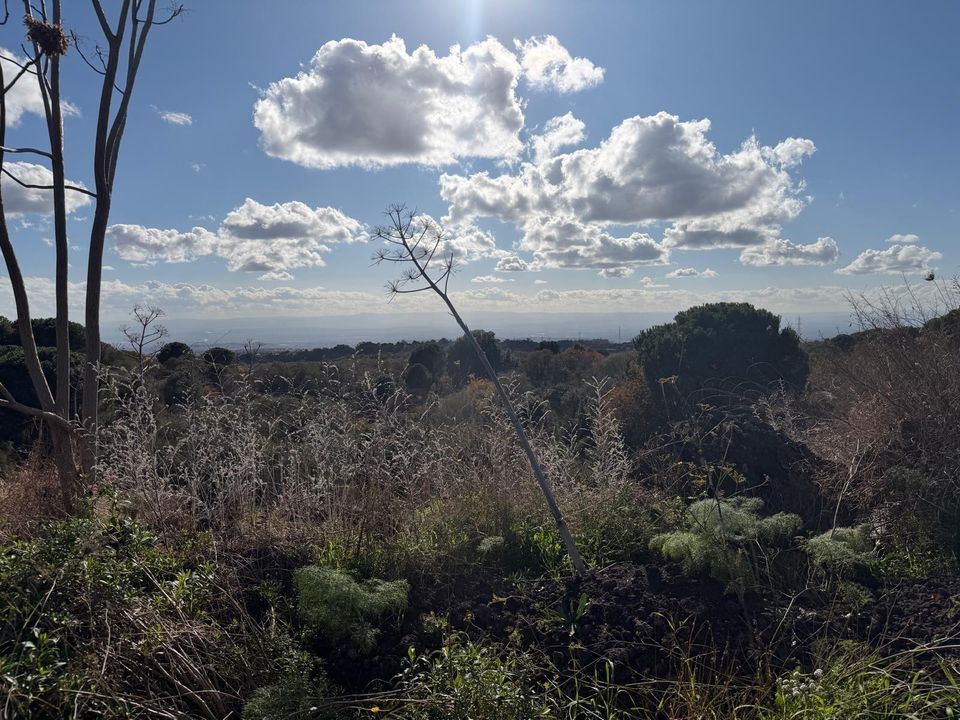 Erhvervsejendom i Nicolosi, Catania - foto 2