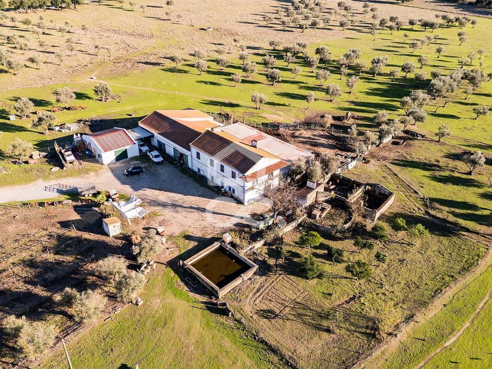 Masia a Evora, Evora - foto 3
