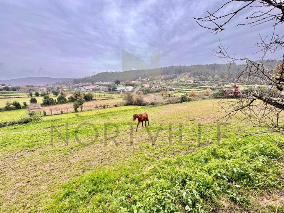 Helårsgrund i Vila Nova de Famalicao, Braga - foto 3
