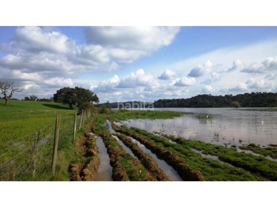 Herregård i Cercal do Alentejo, Setubal - bilde 2