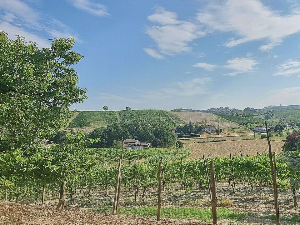 Landejendom i Castelnuovo Calcea, Asti - foto 5