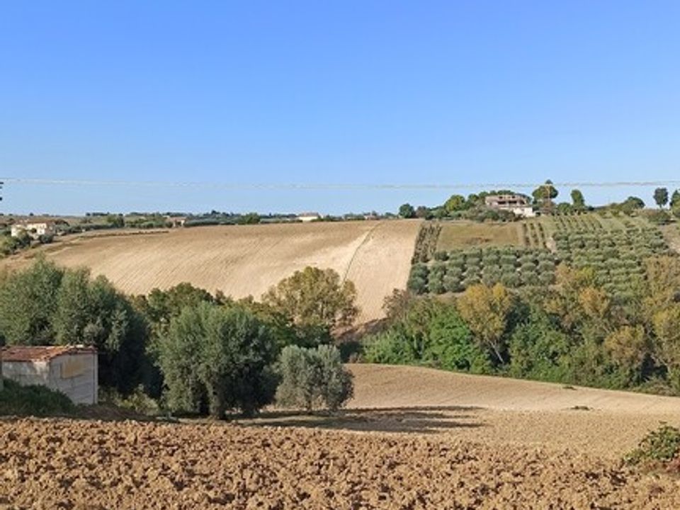Næringseiendom i Sant'Elpidio a Mare, Fermo - bilde 5