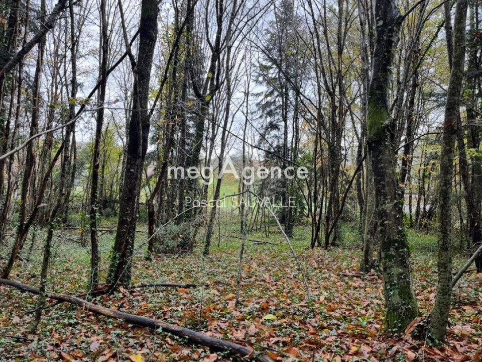 Helårsgrund i Saint-Leon-sur-l'isle, Dordogne - foto 1