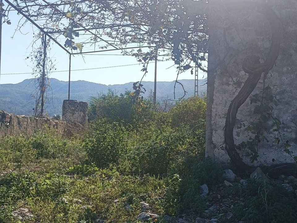 Villa i Villalonga, Valencia - foto 5