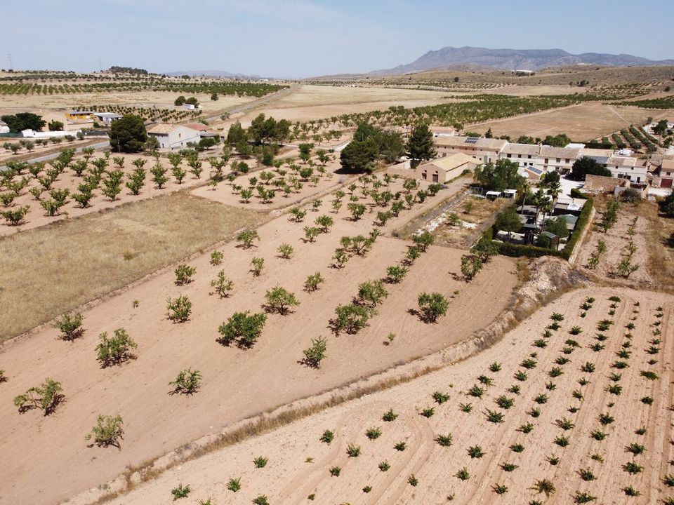 Helårsgrund i Abanilla, Murcia - foto 1