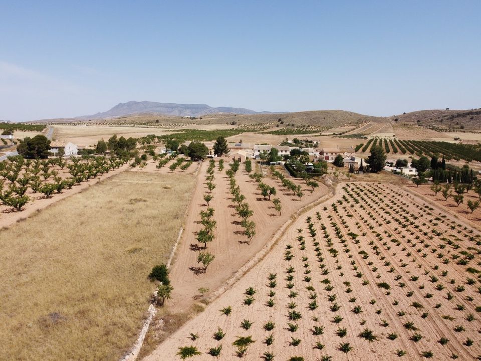 Helårsgrund i Abanilla, Murcia - foto 3