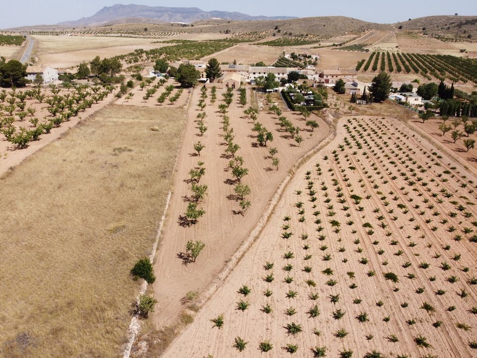 Helårsgrund i Abanilla, Murcia - foto 4