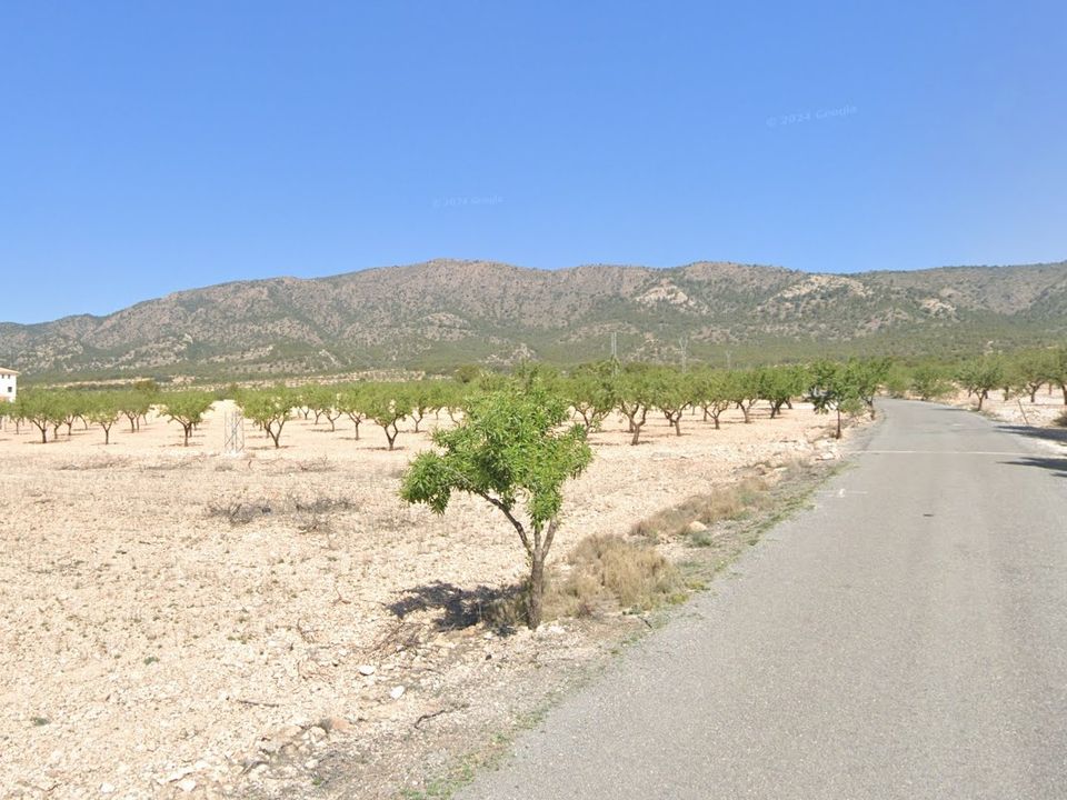 Helårsgrund i Pinoso, Alicante - foto 3