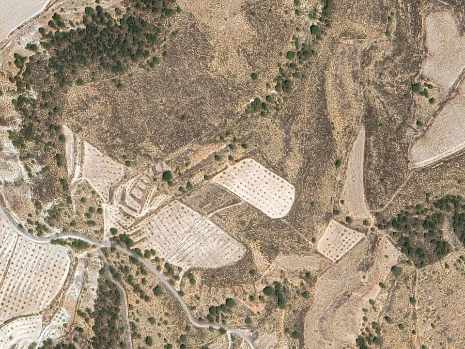Helårsgrund i Jumilla, Murcia - foto 2