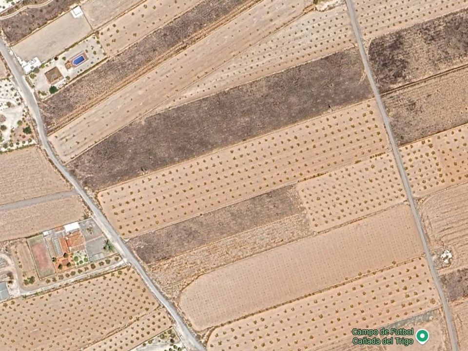 Helårsgrund i Canada Del Trigo, Alicante - foto 2