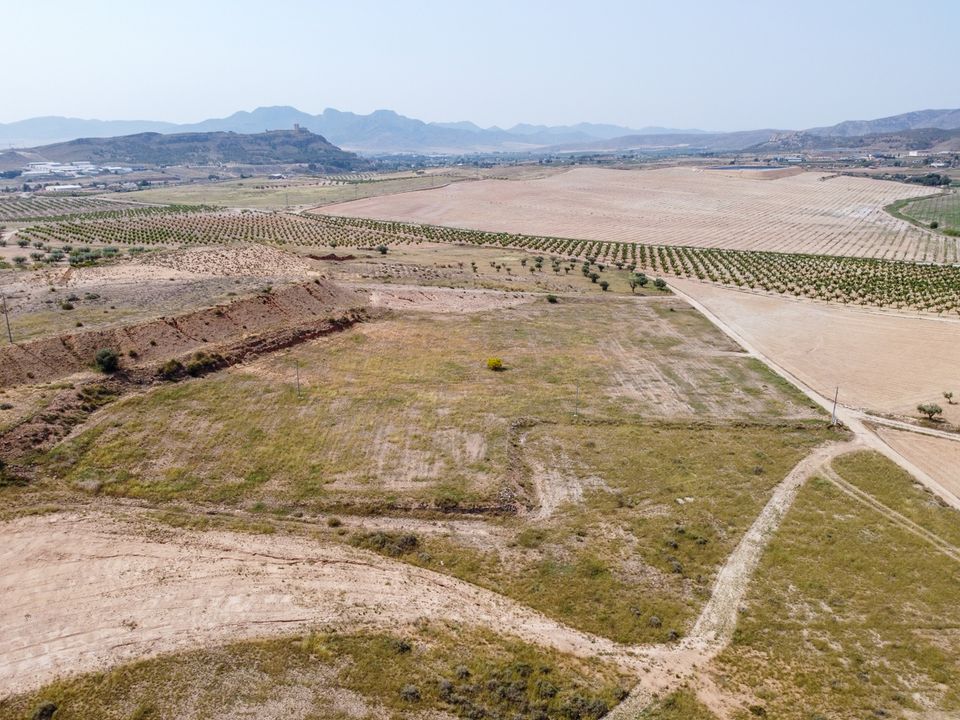 Helårsgrund i Jumilla, Murcia - foto 2