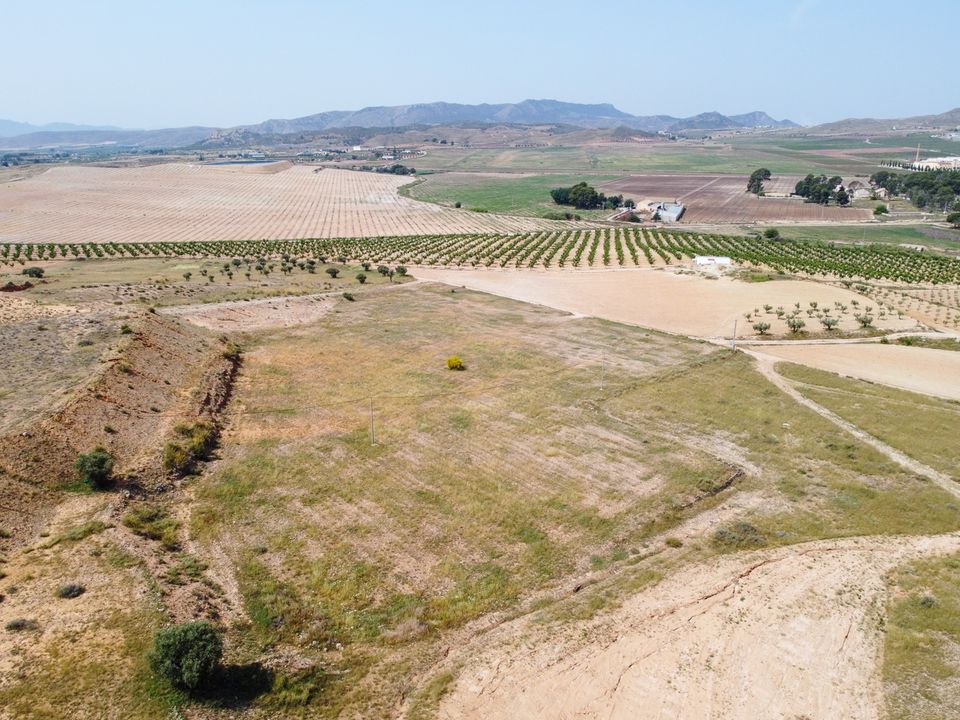 Helårsgrund i Jumilla, Murcia - foto 3