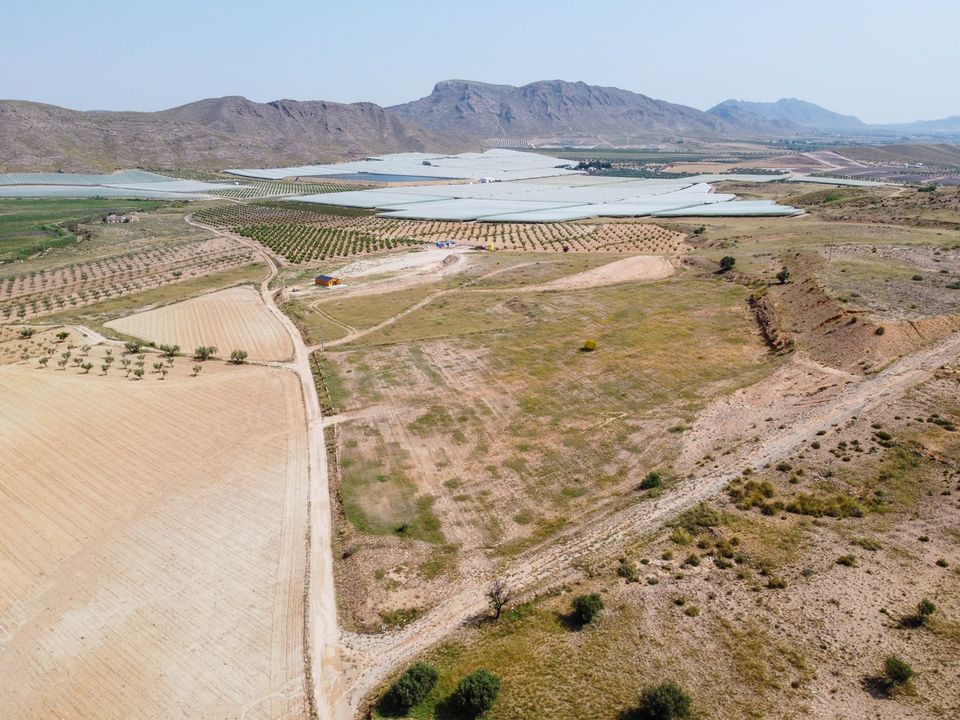 Helårsgrund i Jumilla, Murcia - foto 5