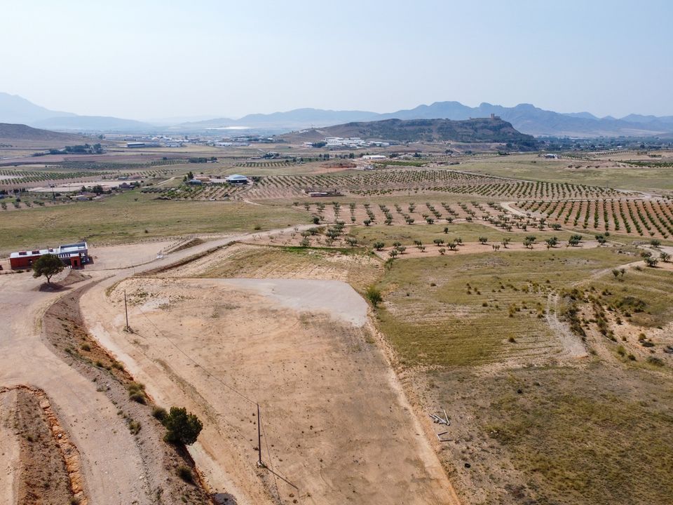 Helårsgrund i Jumilla, Murcia - foto 3